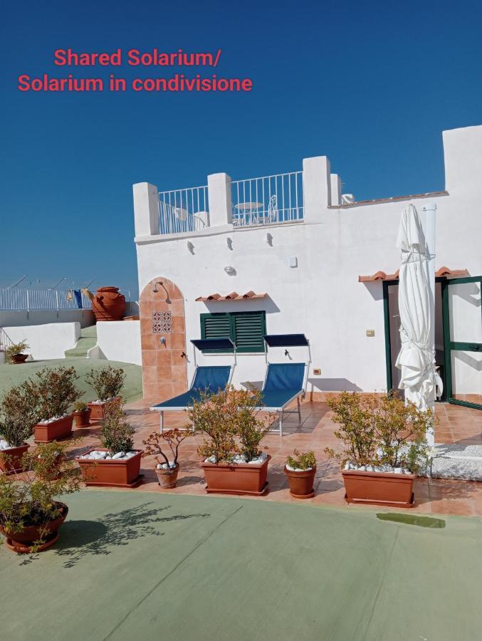 פרוסידה Torretta Corricella- Punta Serra מראה חיצוני תמונה